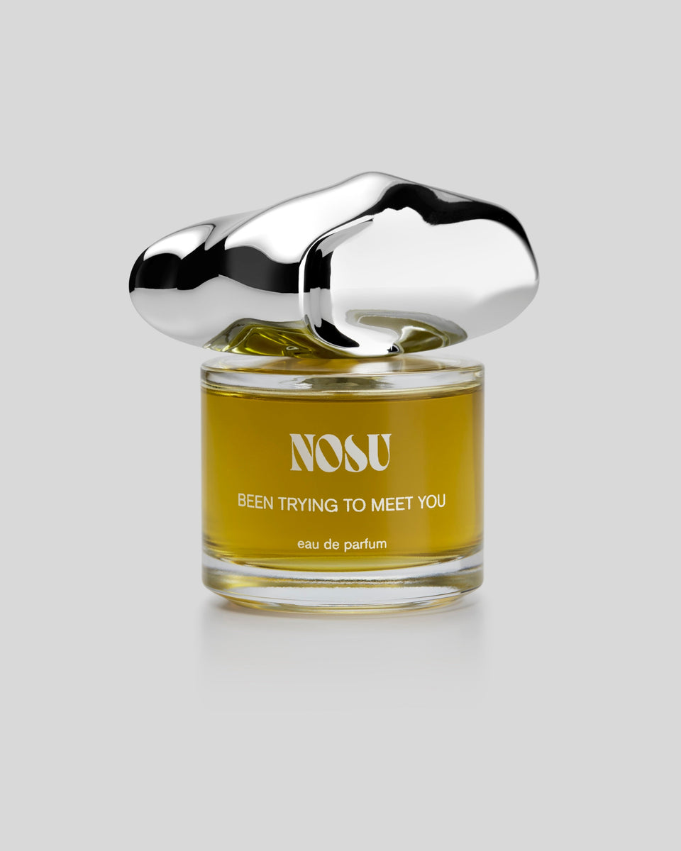 NOSU Been Trying To Meet You Eau de Parfum - Stéle