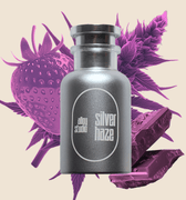 Alloy Studio Silver Haze Eau de Parfum - Stéle