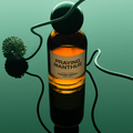 Strange Harvest Praying Manthus Extrait de Parfum - Stéle