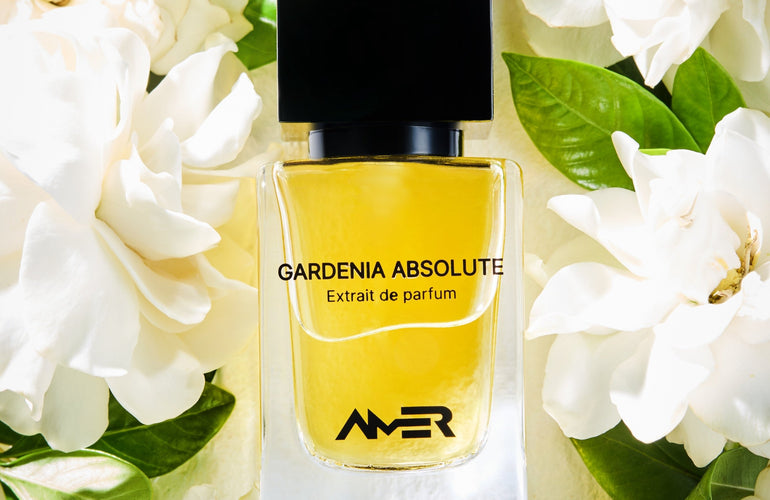 Amer Gardenia Absloute Extrait De Parfum - Stéle