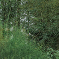 Racyne Discovery Set at Stéle