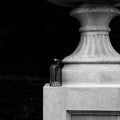 Fine Scents Éminence Eau de Parfum - Stéle