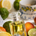 L'Atelier Möbius Mon Souvenir Précieux Extrait de Parfum - Stéle