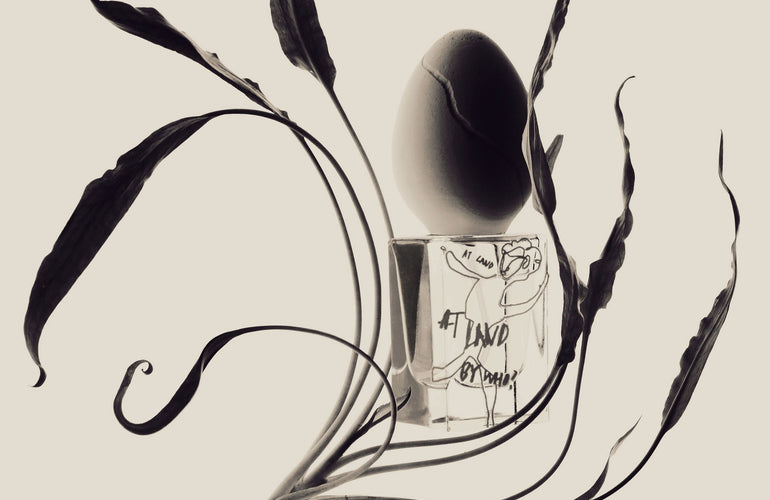Perfume Who At Land Eau de Parfum - Stéle