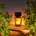Amer Perennial Extrait De Parfum - Stéle