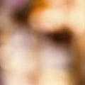 NOSU Been Trying To Meet You Eau de Parfum - Stéle