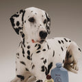 Biche Cloud Cleanser for Dogs - Stéle