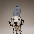 Biche Cloud Cleanser for Dogs - Stéle