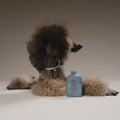 Biche Cloud Cleanser for Dogs - Stéle