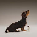 Biche Après Oil for Dogs - Stéle