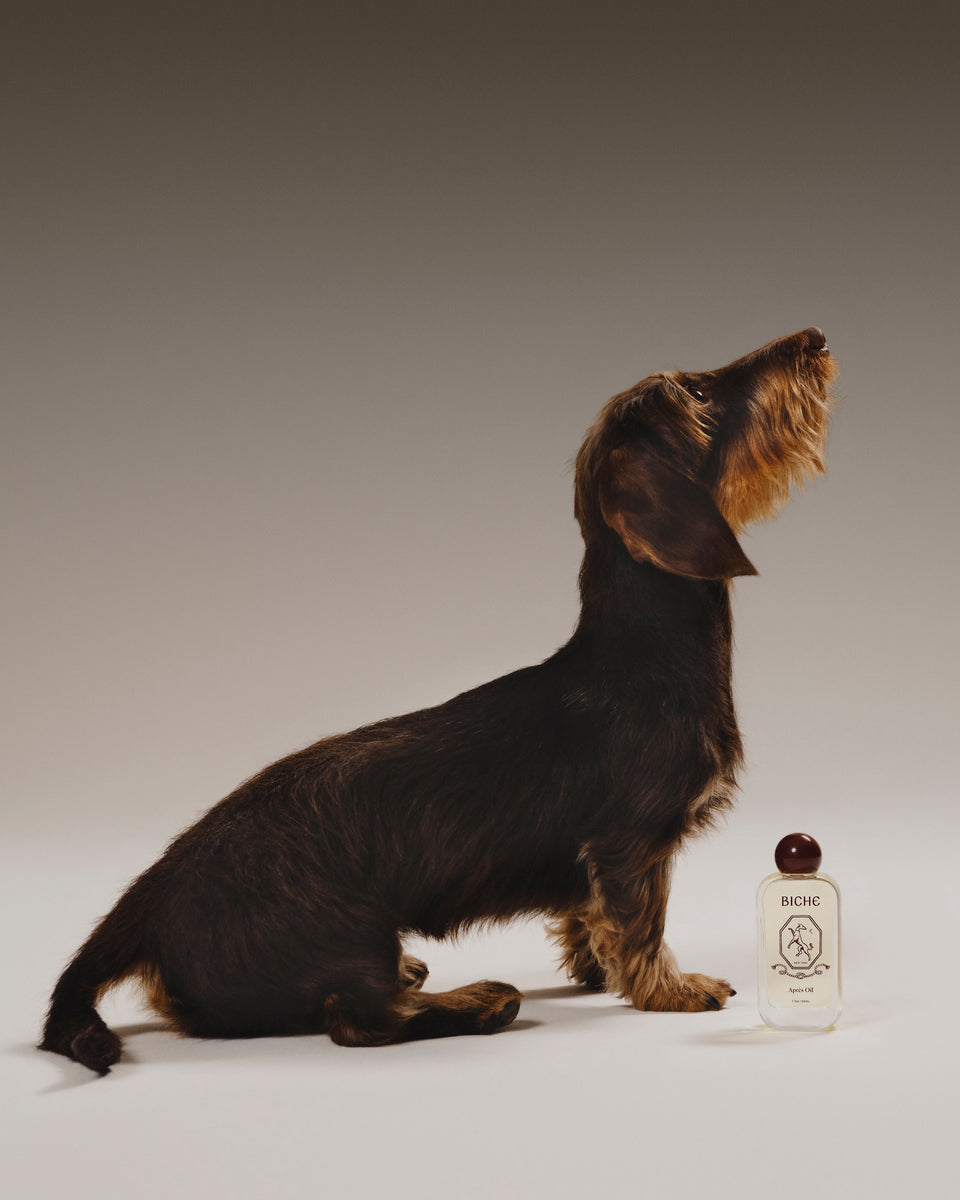 Biche Après Oil for Dogs - Stéle