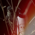 Bjørn Parfume Rose Riot Eau de Parfum at Stéle