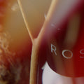Bjørn Parfume Rose Riot Eau de Parfum at Stéle