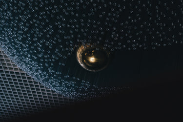 Pigmentarium Brutal Eau de Parfum at Stéle