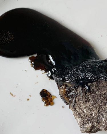 Costa Brazil Resina De Breu at Stéle