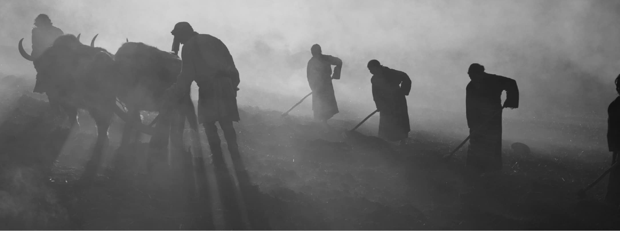 Hima Jomo Autumn In Lhoka Eau de Parfum at Stéle