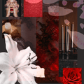 Liberation of Flowers Divine Intervention Eau de Parfum - Stéle