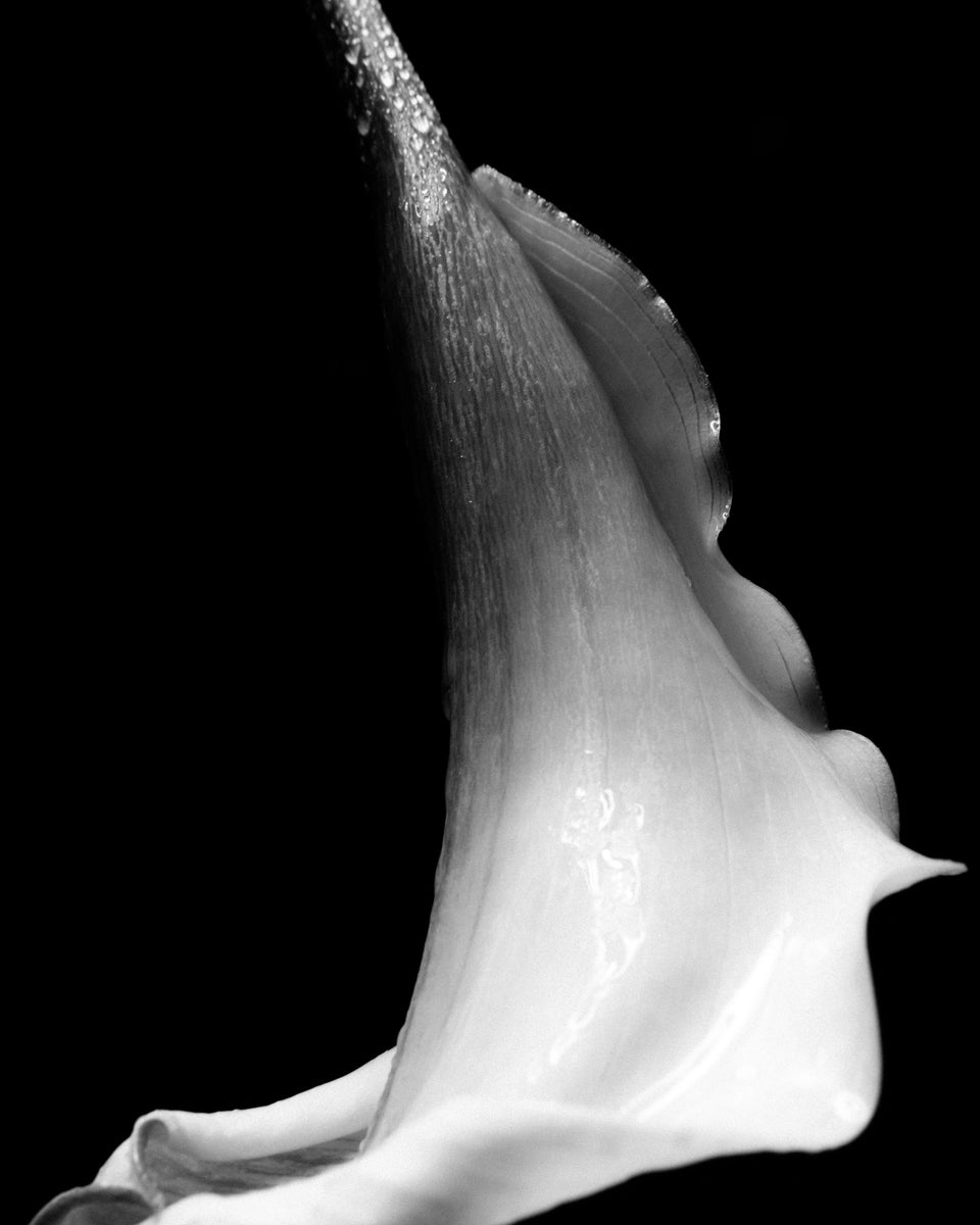 Fine Scents Joie de Sannes Eau de Parfum - Stéle