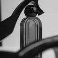 Fine Scents Fashionably Late Eau de Parfum - Stéle