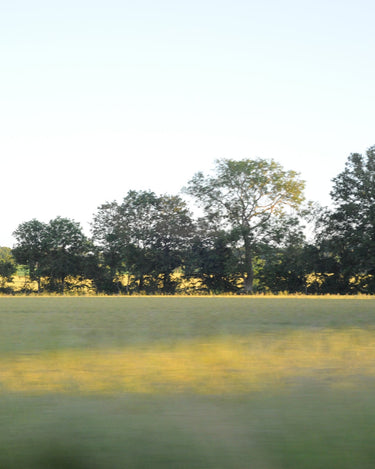 Racyne Discovery Set at Stéle