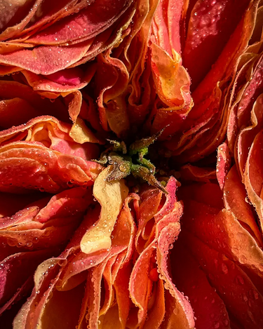 Bleu Nour Neon Violette Eau de Parfum at Stéle