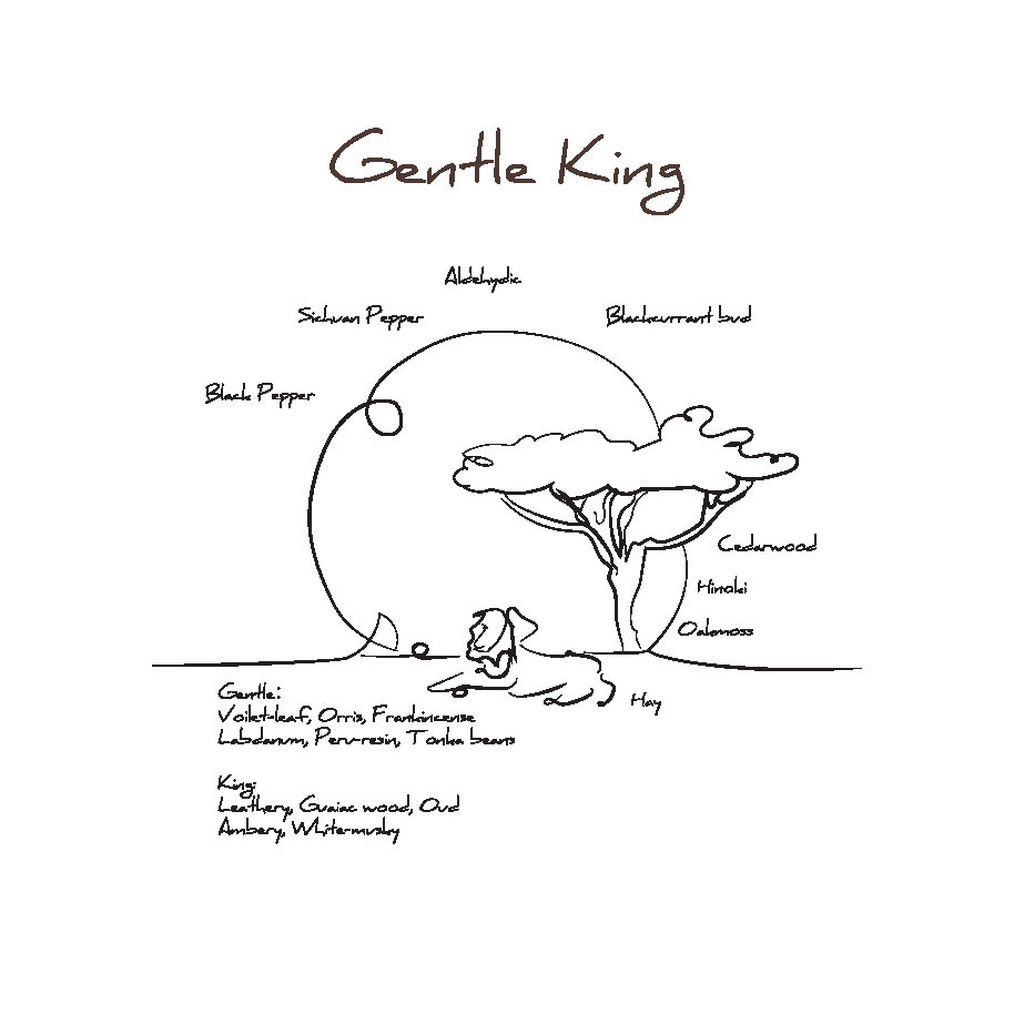 Voice From The Sky Gentle King Eau de Parfum - Stéle