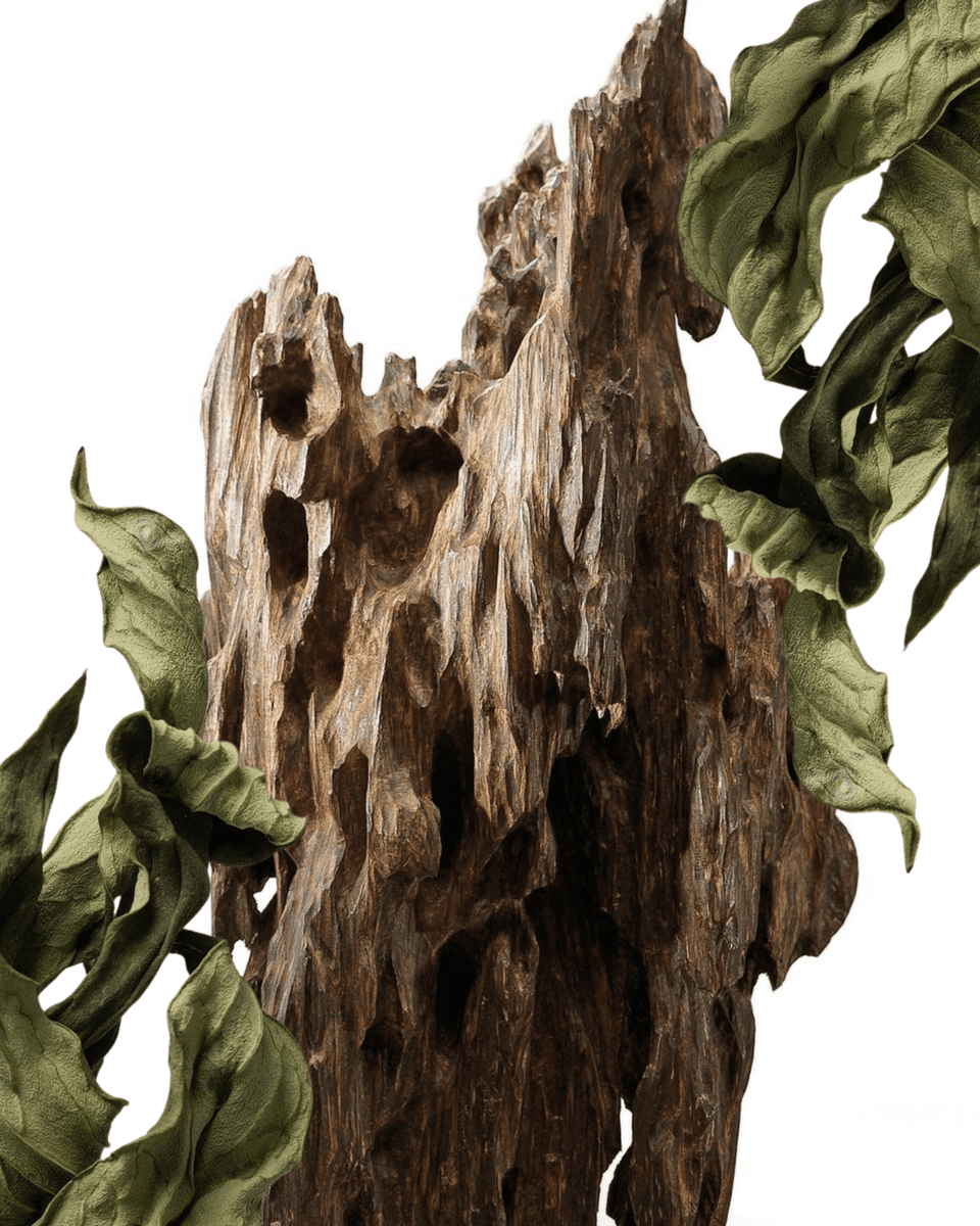 Ultraviolence Parfums 1º Quadrante Extrait de Parfum - Stéle