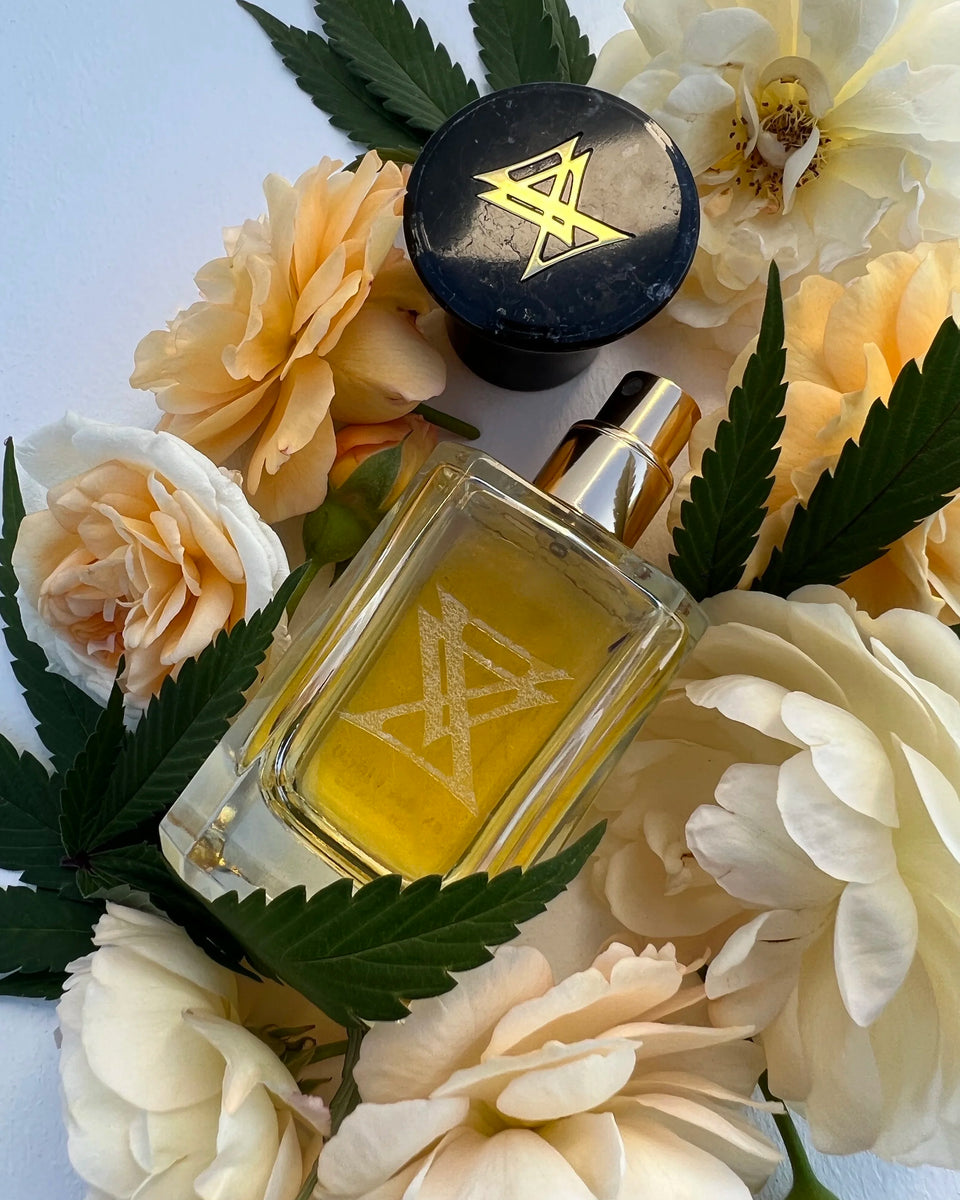 Extra Virgo Monte Kush Extrait de Parfum - Stéle