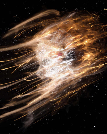 L'Entropiste Altamura Eau de Parfum at Stéle