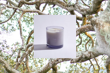 Liis Reyes Candle at Stéle