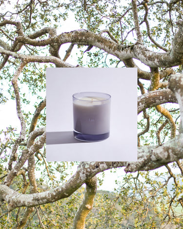 Liis Reyes Candle at Stéle