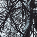 Senyokô Migration de l'Arbre Eau de Parfum - Stéle
