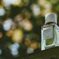 Senyokô Migration de l'Arbre Eau de Parfum - Stéle