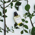 Senyokô Migration de l'Arbre Eau de Parfum - Stéle