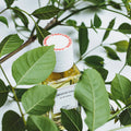 Senyokô Migration de l'Arbre Eau de Parfum - Stéle