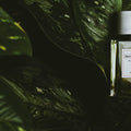 Senyokô Migration de l'Arbre Eau de Parfum - Stéle