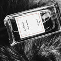 Senyokô La Tsarine Eau de Parfum - Stéle