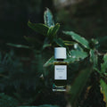 Senyokô Migration de l'Arbre Eau de Parfum - Stéle