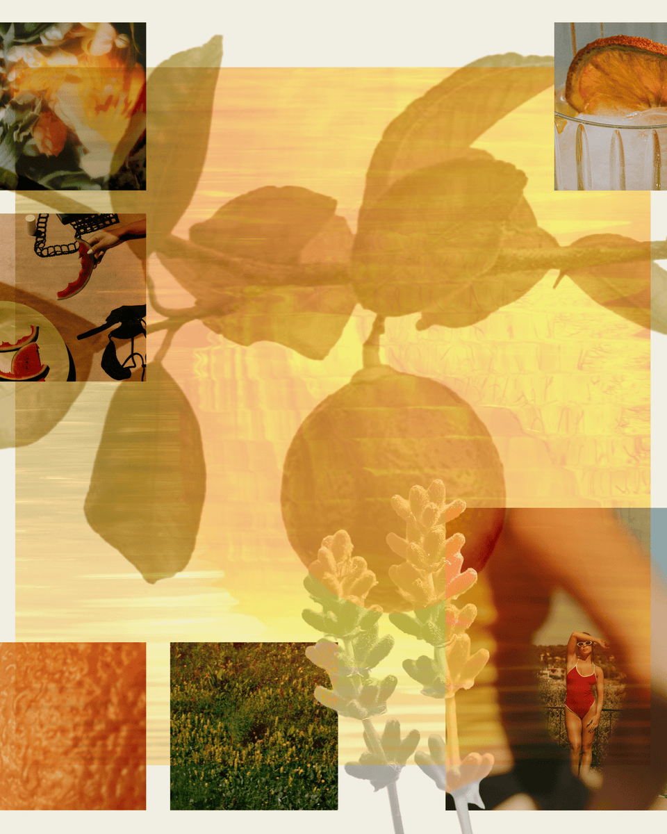 Liberation of Flowers Plot Twist Eau de Parfum - Stéle