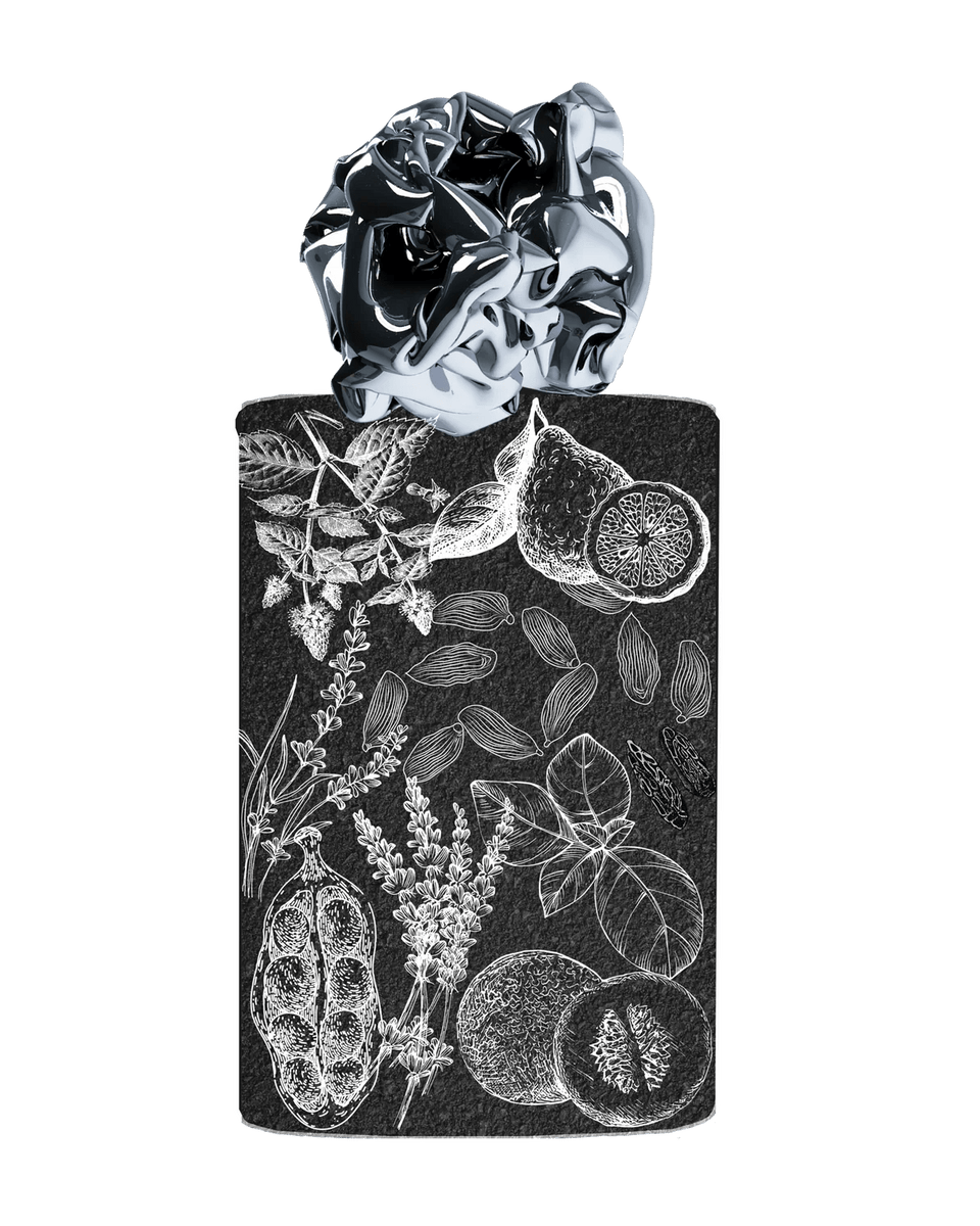 Flâner Sonic Silver Eau De Parfum - Stéle