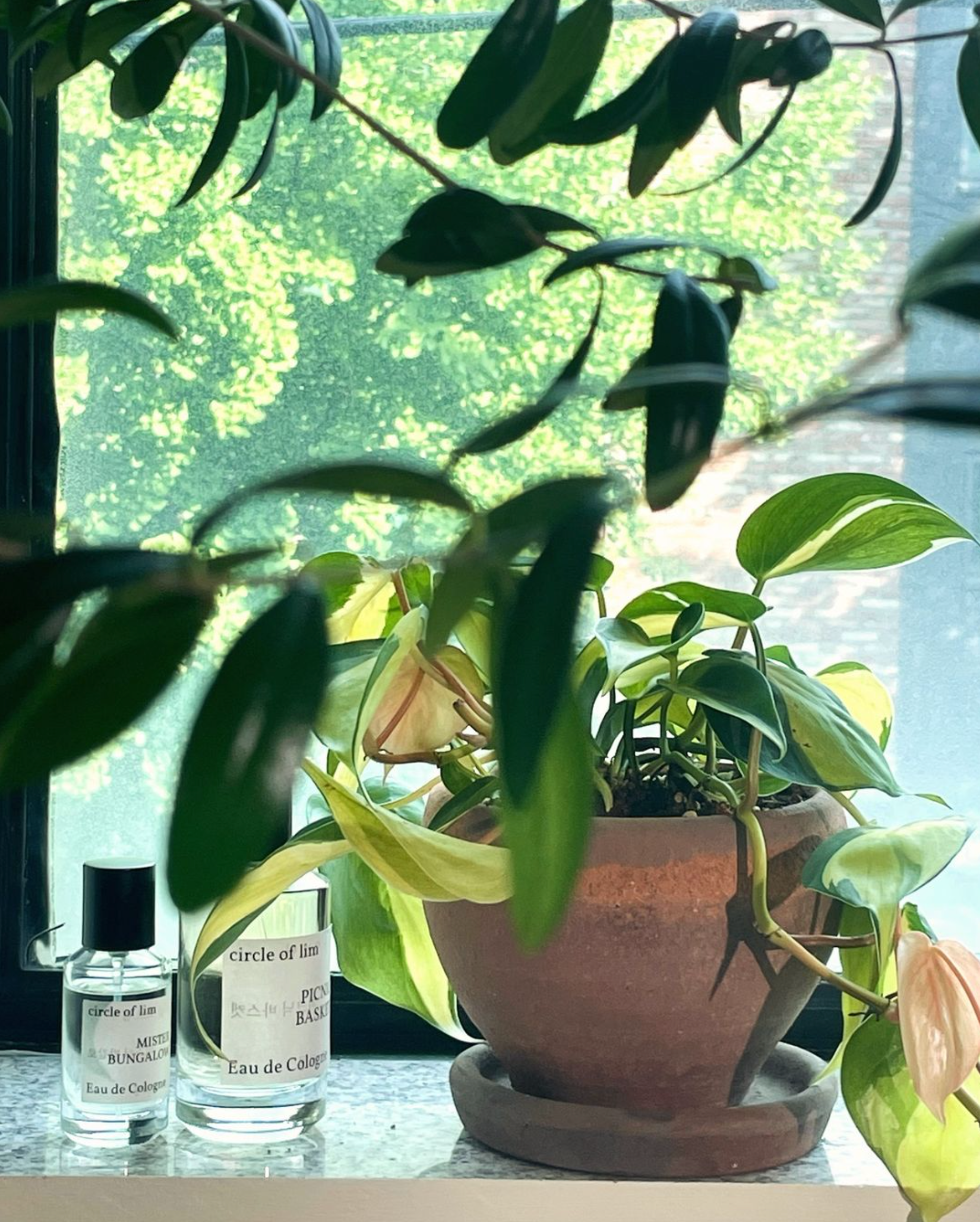 Circle of Lim Mister Bungalow Eau de Cologne at Stéle