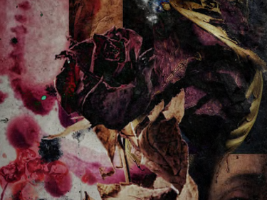 Sylhouette Parfums Romance Noire Extrait de Parfum at Stéle