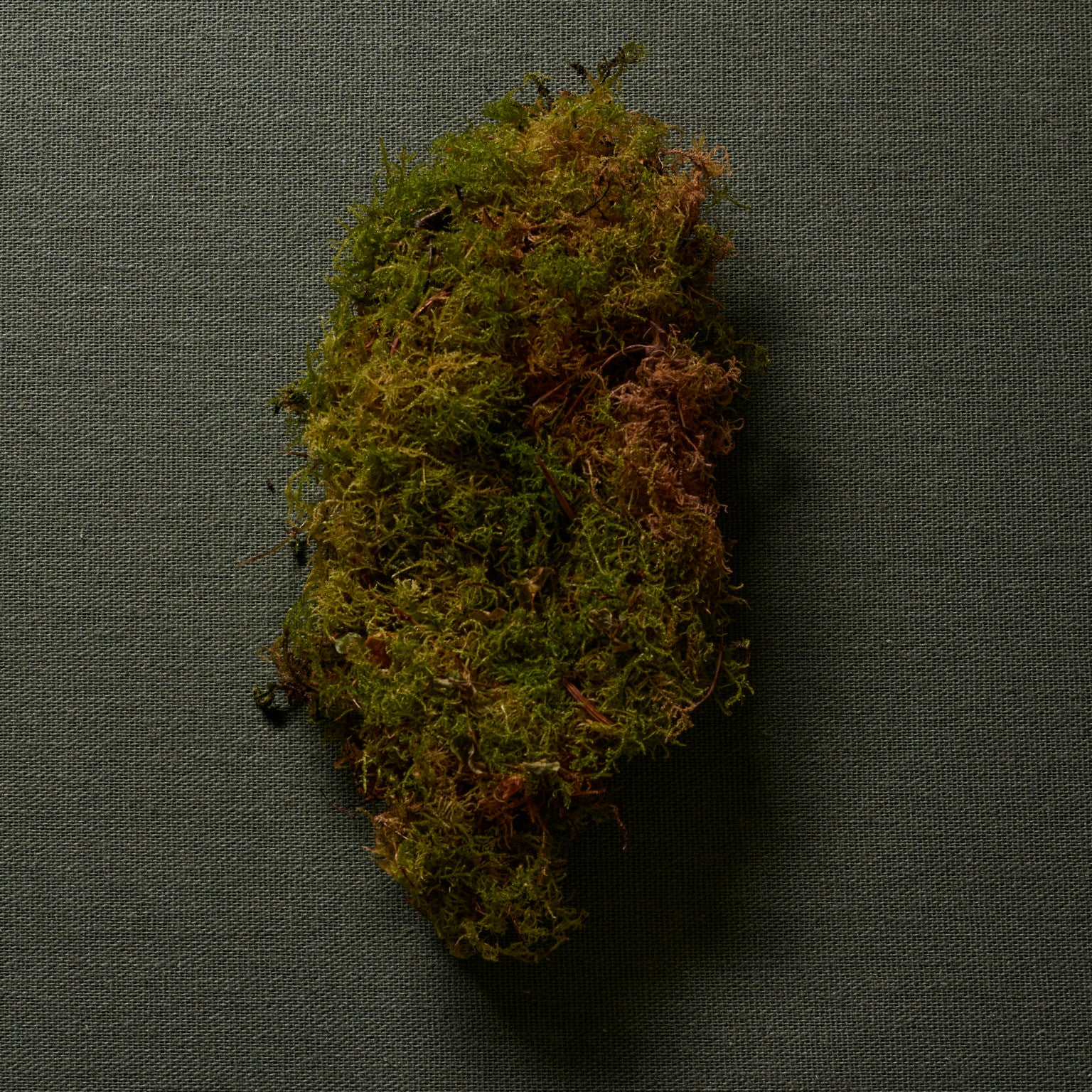 Hima Jomo Spring In Bome Eau de Parfum at Stéle