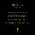 Wolf Brothers Slavic Mythology Mora Eau de Parfum - Stéle