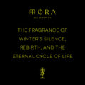 Slavic Mythology Mora Eau de Parfum at Stéle