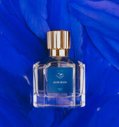 Wren Atelier Acid Rain Parfum - Stéle