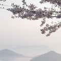 Hima Jomo Spring In Bome Eau de Parfum at Stéle
