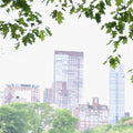 Thin Wild Mercury Sheep Meadow Eau de Parfum - Stéle