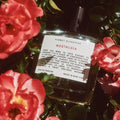 Kismet Olfactive Nostalgia Eau De Parfum - Stéle