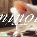 Færal Parfum Minou Extrait de Parfum - Stéle